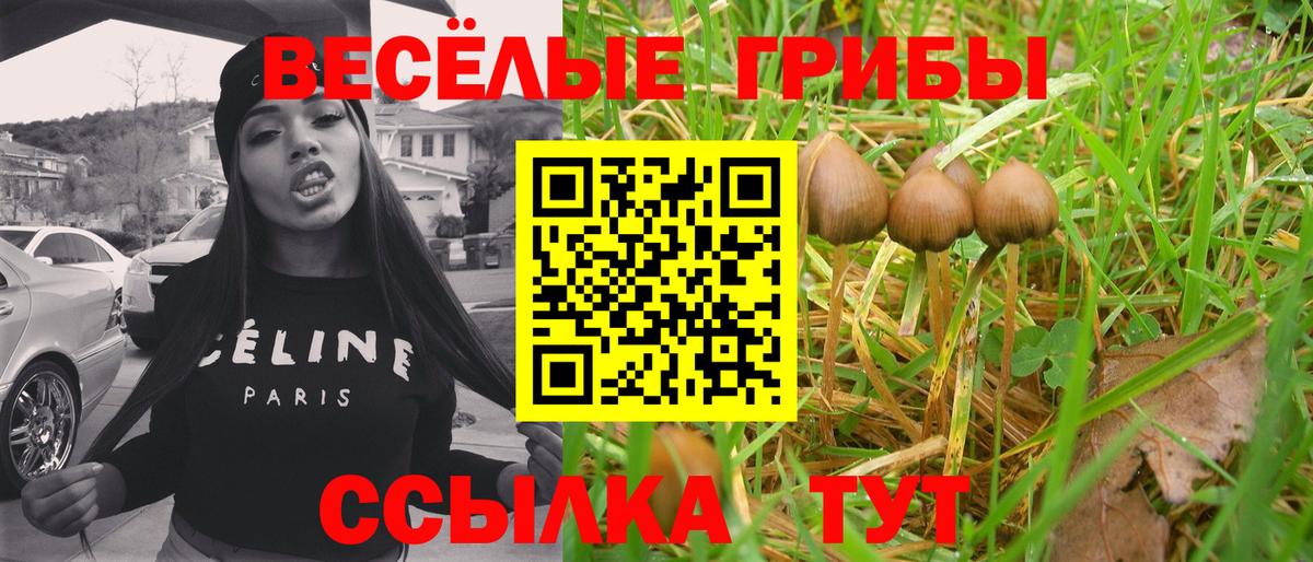 Галлюциногенные грибы Magic Shrooms Кохма