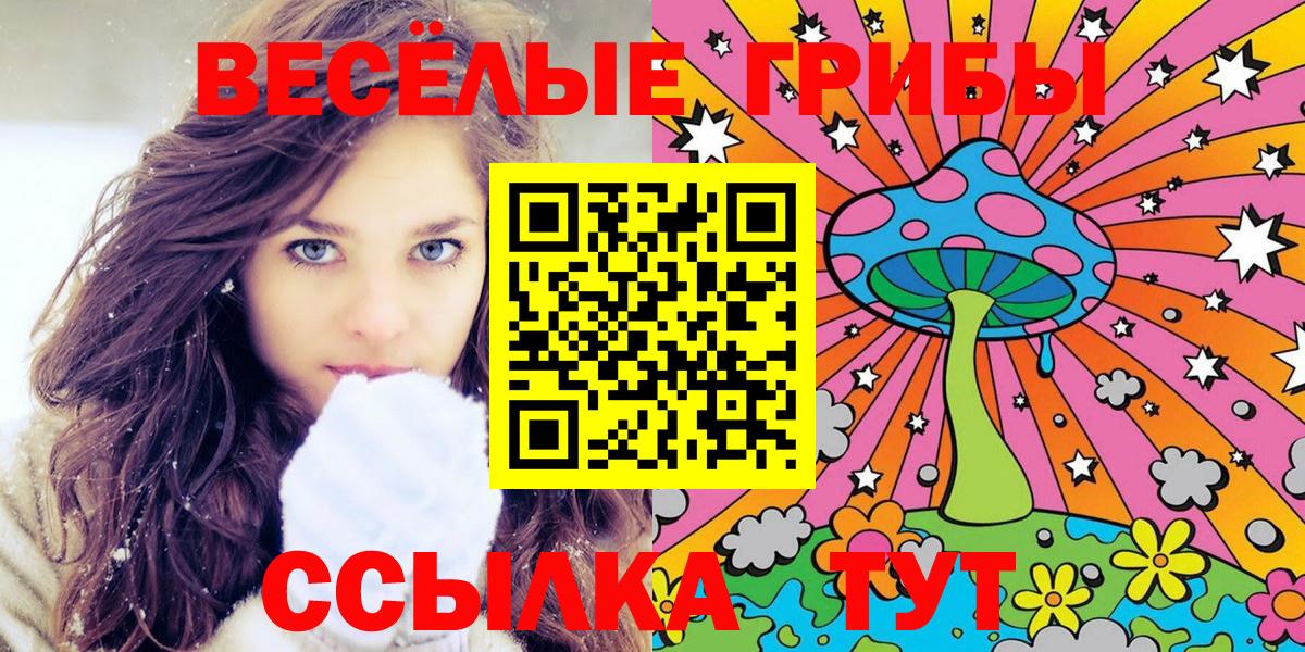 Псилоцибиновые грибы Psilocybe  дарнет шоп  Кохма  Псилоцибиновые грибы Magic Shrooms  Вход с VPN 
